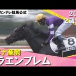 浜中俊騎手「楽に勝ってくれました」1番人気リラエンブレムが抜け出しデビュー勝ち! 2024年 10月27日(日)2歳新馬 京都芝1600m 実況:岡安譲【カンテレ公式】