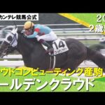 【壮絶な一騎打ち】ゴールデンクラウドが制す!鮫島克駿騎手「今後は精神面がカギ」 2024年 10月27日(日)2歳新馬 京都ダート1800m 実況:岡安譲【カンテレ公式】