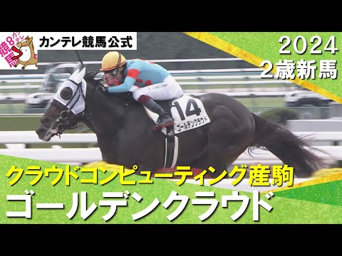 【壮絶な一騎打ち】ゴールデンクラウドが制す！鮫島克駿騎手「今後は精神面がカギ」　2024年 10月27日(日)２歳新馬　京都ダート1800m　実況：岡安譲【カンテレ公式】