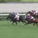 【京都大賞典2024】結果・動画/シュヴァリエローズが波乱の一戦を制す