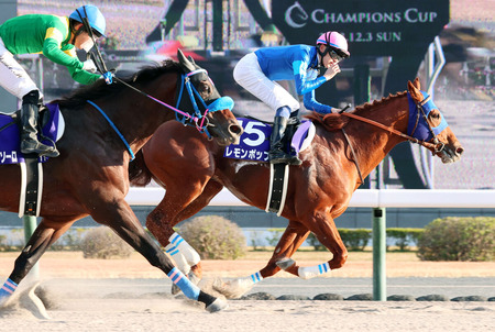 【競馬予想】第37回マイルチャンピオンシップ南部杯(Jpn1)盛岡/ 2024