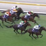 【天皇賞秋2024】結果・動画/ドウデュースが王者の走りで快勝