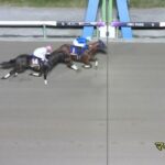 【競馬】南部杯は坂井騎乗のレモンポップが連覇