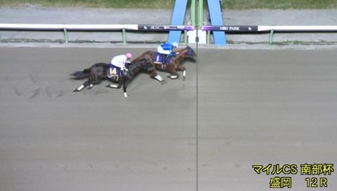 【競馬】南部杯は坂井騎乗のレモンポップが連覇