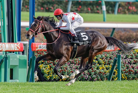 幻の最強馬ミッキーカプチーノさん、遂に帰還した模様