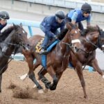 【2歳新馬】アーモンドアイ初子 初陣アロンズロッド1.2倍