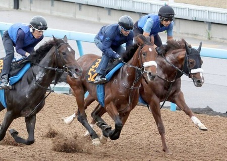 【2歳新馬】アーモンドアイ初子 初陣アロンズロッド1.2倍