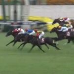 【競馬】スワンSは松山騎乗のダノンマッキンリーがV 武豊騎乗のオフトレイル2着