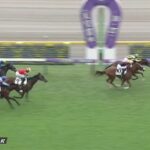 【競馬】アーモンドアイの初子 アロンズロッドは新馬戦で単勝1.4倍も4着