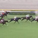 【競馬】富士Sは戸崎騎乗のジュンブロッサムがV