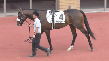 【競馬予想】第10回サウジアラビアロイヤルカップ(GⅢ) /2024