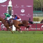 凱旋門賞馬ソットサスを日本軽種馬協会が導入 日本で種牡馬に