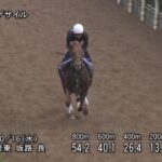 【菊花賞2024】追い切り/動きからレースを紐解く