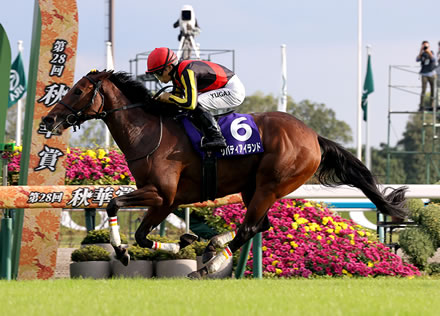 【急募】秋天のリバティアイランドの鞍上