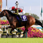 【競馬予想】[5]第170回天皇賞(秋)(GⅠ) /2024