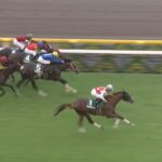 【サウジアラビアロイヤルカップ2024】結果・動画/アルテヴェローチェがまとめて差し切る