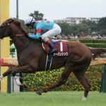 【競馬予想】[3]第85回菊花賞(GⅠ) /2024