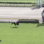 【2歳新馬】レモンポップに追い切りで先着のデンクマール出走・・・結果は