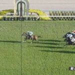 【競馬】菊花賞はルメール騎乗のアーバンシックがV