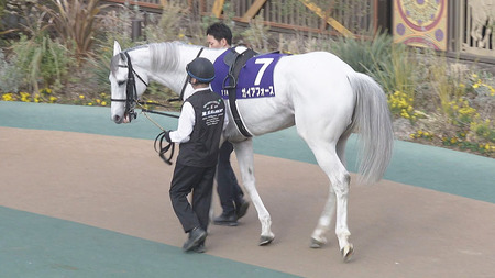 ガイアフォース秋天、MCSスルーでチャンピオンズカップ参戦