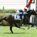 【競馬予想】 第13回アルテミスステークス(GⅢ) /2024