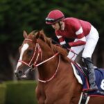 【競馬予想】[2]第103回凱旋門賞(G1)出走19頭 /2024