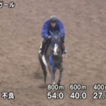【秋華賞】ボンドガール&武豊騎手www