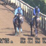 【京都大賞典2024】追い切り/動きからレースを紐解く