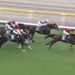 【アルテミスステークス2024】結果・動画/ブラウンラチェットが抜け出し快勝