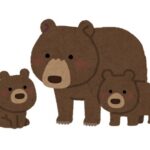 栗東市にクマが出現。トレセンからわずか数キロの距離