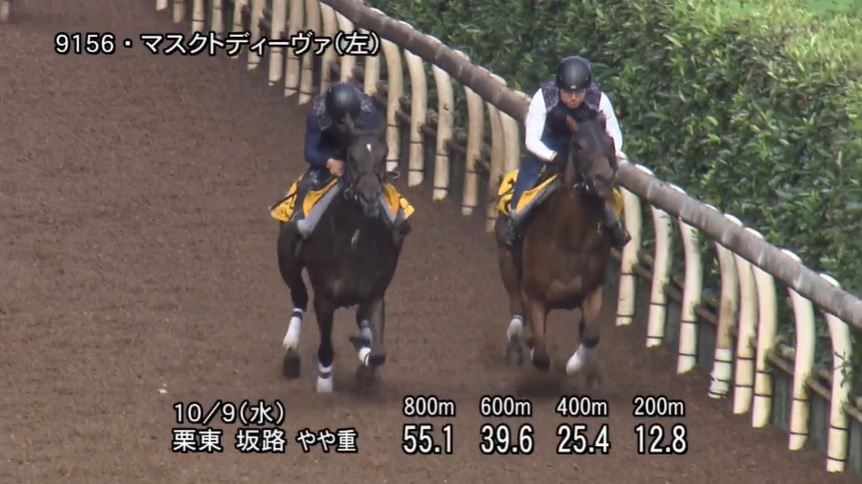 【府中牝馬ステークス2024】追い切り/動きを見極め勝利に近づけ