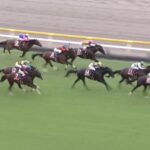 【富士ステークス2024】結果・動画/ジュンブロッサムが差し切り重賞初V
