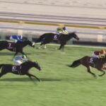 【府中牝馬ステークス2024】結果・動画/ブレイディヴェーグがまとめて差し切る
