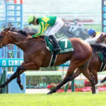 サトノカルナバル米BCジュベナイルターフ参戦 レイチェル・キングと新コンビ