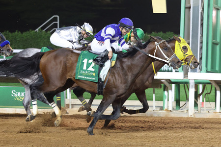 サウジでウシュバに勝ったセニョールバスカドールまた負けた