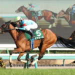 【競馬予想】[4] 第29回秋華賞(GⅠ) /2024