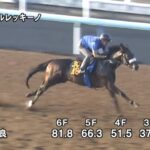 【サウジアラビアロイヤルカップ2024】追い切り/動きを見極め勝利に近づけ