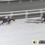 【エーデルワイス賞2024】結果・動画/ミリアッドラヴが断然人気に応え圧勝