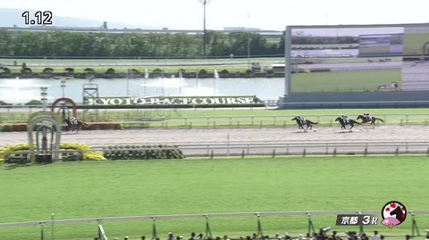 【競馬】京都3Ｒ新馬戦　武豊騎乗のナダル産駒フェデラーが1200ダートで大差勝ち