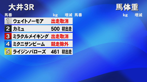 【大井3R新馬戦】5頭→2頭立てのレースに