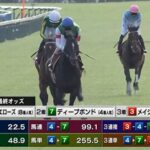 【京都大賞典】馬券に来る力はあるんやけどなぁディープボンド 他
