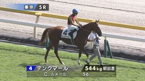 【月曜東京5R新馬戦】レモンポップに先着したデンクマール出走