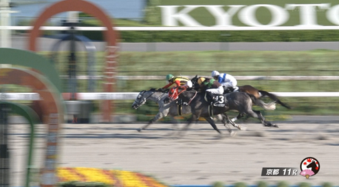 【大阪スポーツ杯】デリカダ＆三浦騎手がｷﾀ━━━━(ﾟ∀ﾟ)━━━━!!