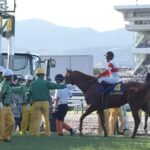 【菊花賞】アーバンシック&ルメール騎手がキタ━━━━(゚∀゚)━━━━!!