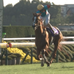 【菊花賞】アーバンシック強すぎワロタwwwwwwwwwww