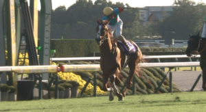 【菊花賞】アーバンシック強すぎワロタwwwwwwwwwww