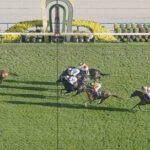 アドマイヤテラ武豊騎手3着←これ