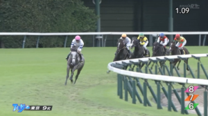 【アイビーS】マスカレードボール＆戸崎騎手がｷﾀ━━━━(ﾟ∀ﾟ)━━━━!!