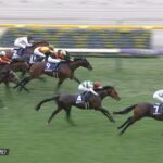 【天皇賞秋】外れたけどドウデュース勝って嬉しい 他
