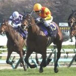 ジャスティンミラノ屈腱炎